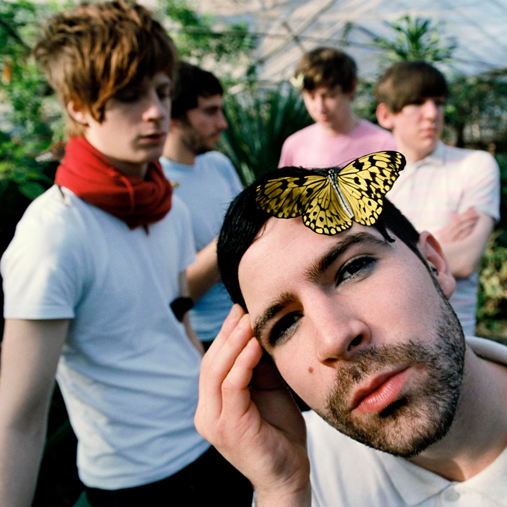 Foals